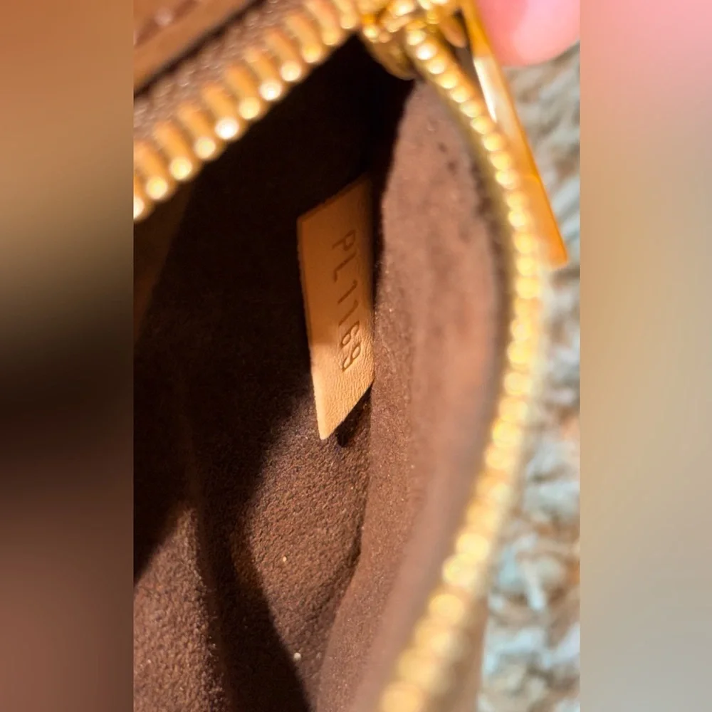 Louis Vuitton authentic louis